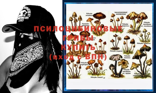 шишки Пролетарск