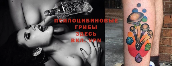 шишки Пролетарск