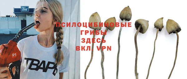 кокаин премиум Приозерск