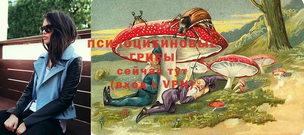 винт Протвино