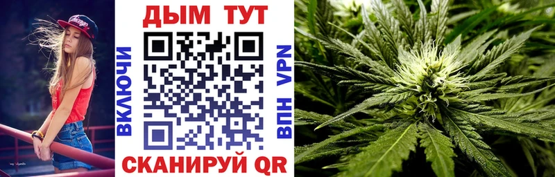 мориарти Telegram  blacksprut   Шахунья  Бошки Шишки Bruce Banner 